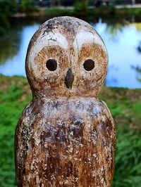 Close-up of old carving on field by lake