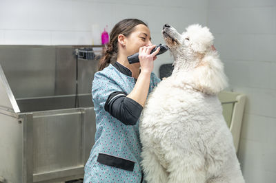 A young woman groomer shaving the chin  hair of a white huge poodle dog at a hairdressing salon