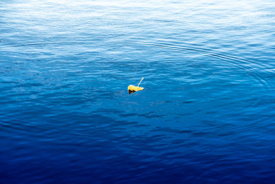 High angle view of man in sea