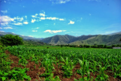 Scenic view of landscape against sky