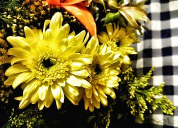 Close-up of yellow flowers