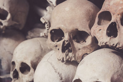 Full frame shot of human skulls