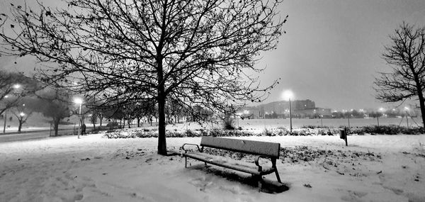 Empty bench in park during winter