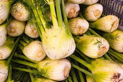 Close-up of vegetables for sale at market