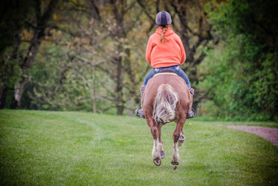 Rear view of man riding horse