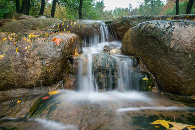 Scenic view of waterfall in forest