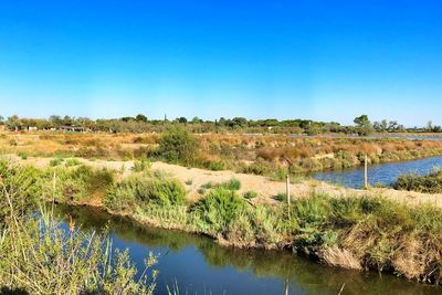 Scenic view of lake against clear blue sky