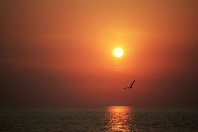 Scenic view of sea against orange sky