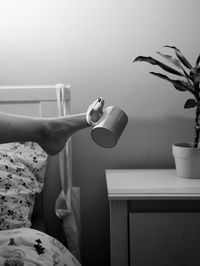 Cropped hand of woman holding potted plant in bathroom