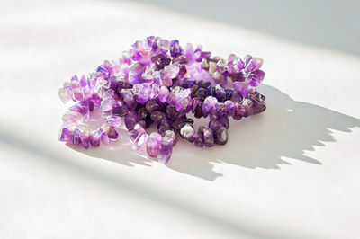 Close-up of purple flowering plant on table