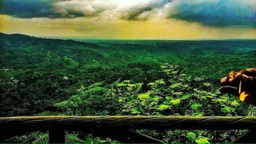 Scenic view of landscape against sky