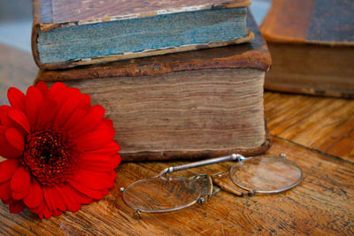 High angle view of red flower on table