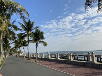 Palm trees on footpath by sea against sky