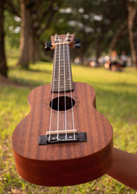 Close-up of guitar on field