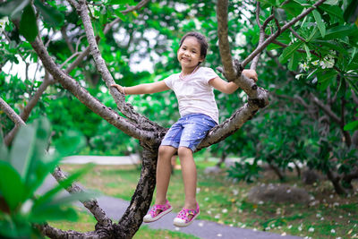 Full length portrait of happy girl on tree