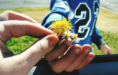 Close-up of hand holding flower