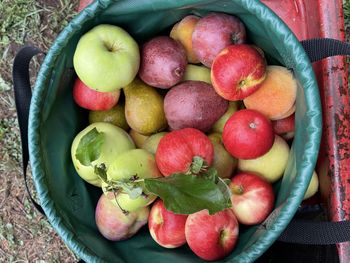 High angle view of fruits in basket