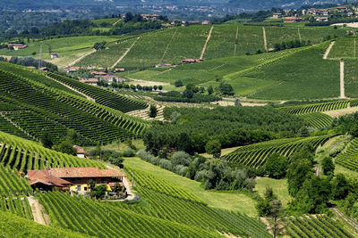 High angle view of agricultural field