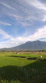 Mountain in the sky blue