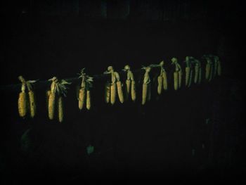 in a row