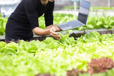 Midsection of person with umbrella on plants