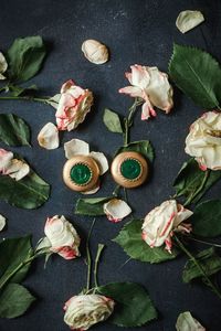 High angle view of roses on table