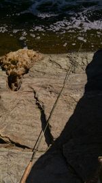 Close-up high angle view of water