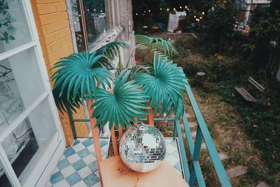 High angle view of person holding potted plant