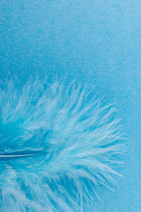 Full frame shot of swimming pool