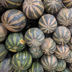 Full frame shot of pumpkins