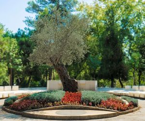 Close-up of potted plant against trees in park