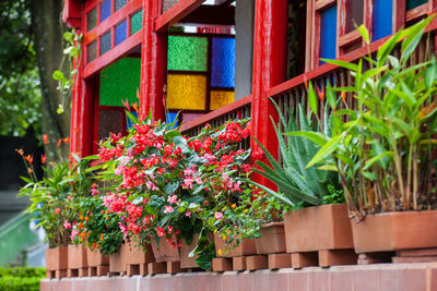 Beautiful traditional colombian house at the rural area decorated with flowering plants