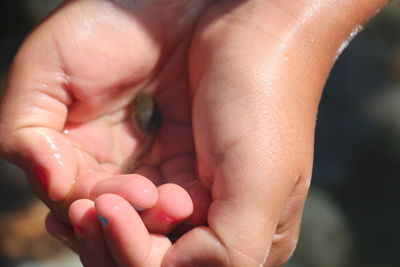 Close-up of woman holding tadpole