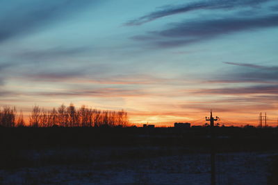 Silhouette of trees at sunset