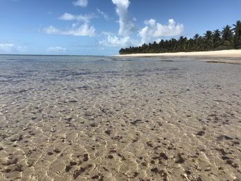 Surface level of beach against sky