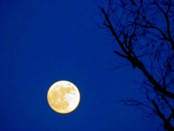 Low angle view of moon against blue sky