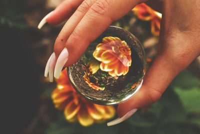 Close-up of hand holding lens ball 