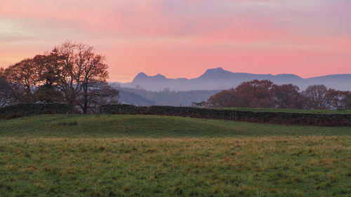 Scenic view of field against sky during sunset