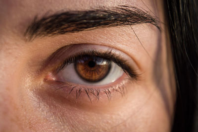 Close-up of woman eye