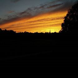 Silhouette of trees at sunset