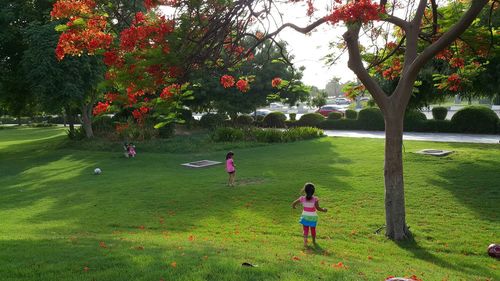 Girl playing on grassy field in park