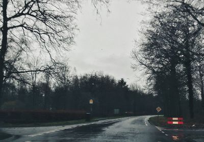 Road passing through trees