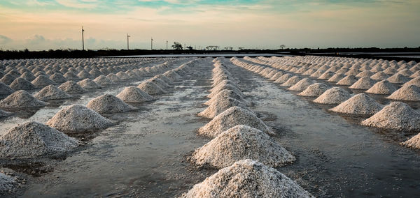 Salt farm in the morning with sunrise sky. organic sea salt. evaporation and crystallization.