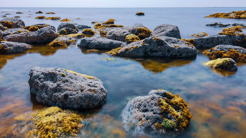 Rocks in sea