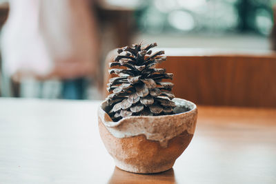 Close-up of pine cone on table