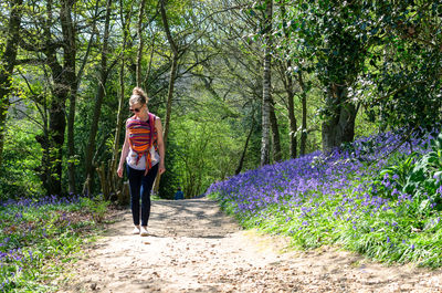 Full length of woman standing amidst purple flowering trees in forest