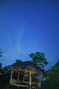 Low angle view of trees against clear sky at night