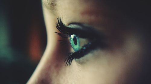 Macro shot of woman with blue eye