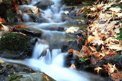 Scenic view of waterfall in forest during autumn