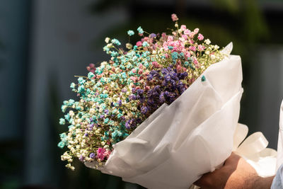 Close-up of hand holding white flowers